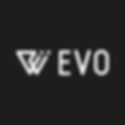 We Evo Logo