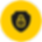 Secure Icon